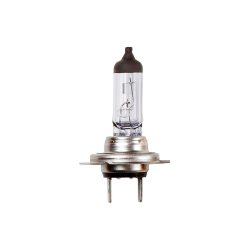 H7 Cap Px26d