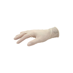Latex Gloves - Powder FREE