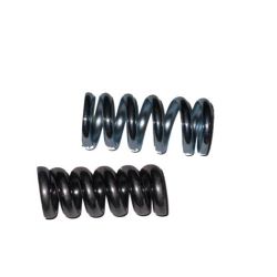 Exhaust Mounting/Manifold Springs