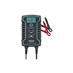 RING Smart Charger and Battery Maintainer 12/24V
