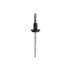 Body Trim Rivets