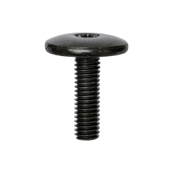 TX Bumper Bolts