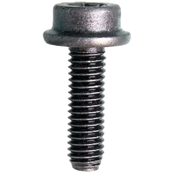 Body Screw