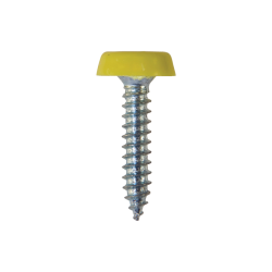 Number Plate Fasteners - Self-Tappers with Plastic Head - Long