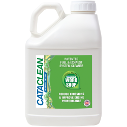 CATACLEAN Workshop