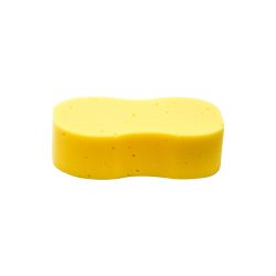 Jumbo Sponges