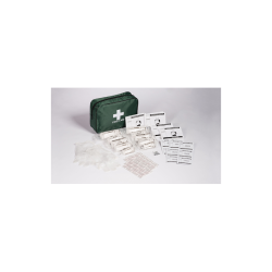 HSE Small First Aid Kit - Bag